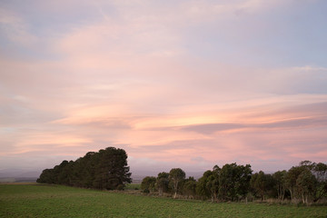 Sunset rural Tasmania