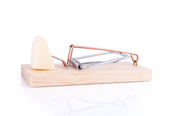 Wooden mousetrap with a cheese