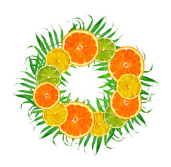 Citrus fruits: orange, lemon, lime on green fern leaves on white