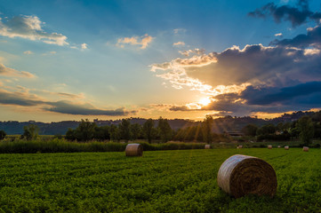 Natural reserve Tevere Farfa - Park with Tiber river in province of Rome, Sabina, central Italy 