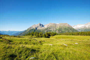 Fototapeta premium Valmalenco (IT) - Alpe Entova - vista verso sud