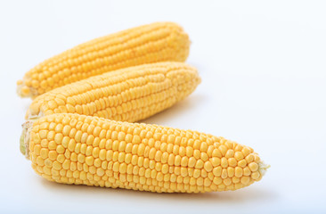 corns on a white background
