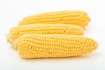 corns on a white background