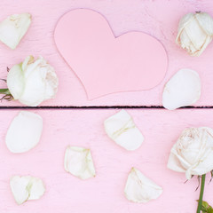White roses and petals on pink wood background