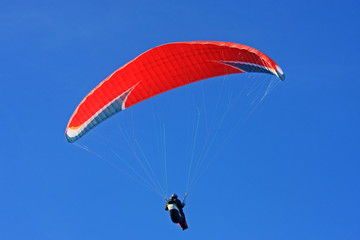 Paraglider