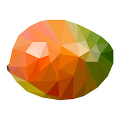 painted mango geometric polygons
