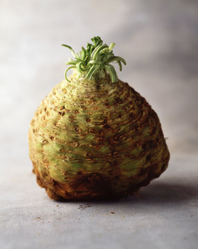 Celeriac, still life