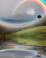 Fototapety na wymiar - Fototapeta24.pl