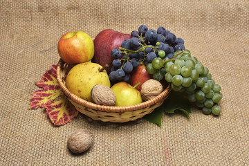 Autumn fruit