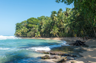 Fototapeta na wymiar Paradise wild beach of Manzanillo Park in Costa Rica