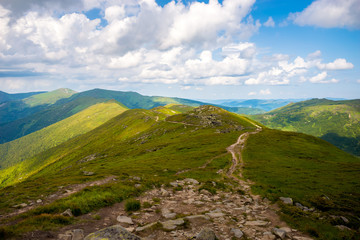 Carpathian's landscape