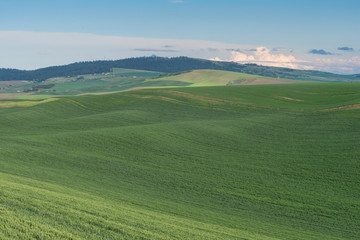 Rolling hills
