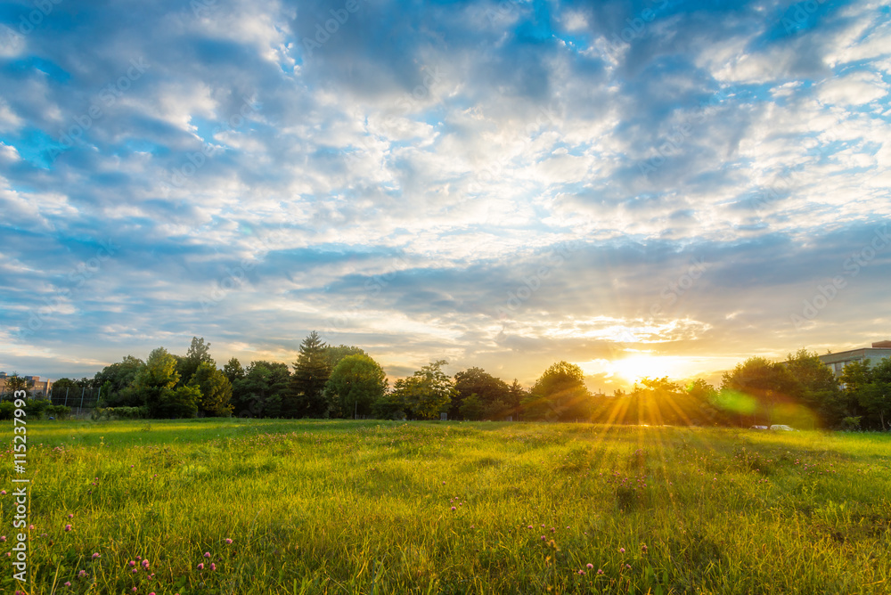 Wall mural beautiful sunset landscape over a meadow in evening - colorful sunlight wallpaper