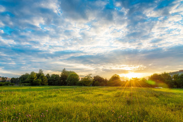 Naklejka premium Beautiful sunset landscape over a meadow in evening - colorful sunlight wallpaper