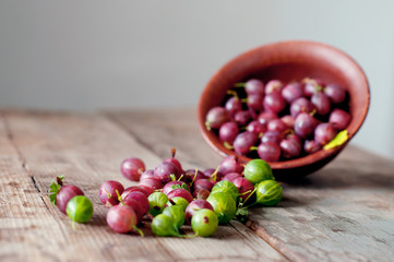 Ripe red and green gooseberry in bowls