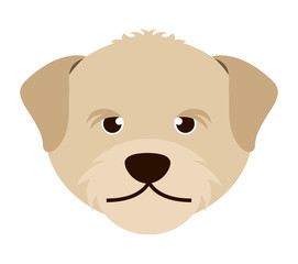 cute dog head  isolated icon design
