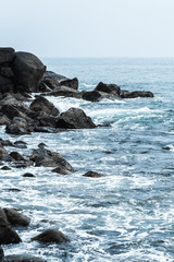 Palm tropical beach. Landscape rocky coast ocean. Instagram effect (vintage).