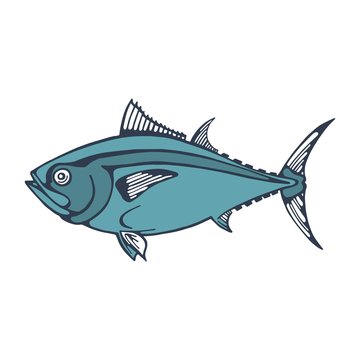 sea fish tuna. vector