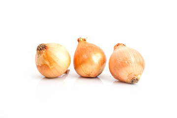 onion. isolate on white background