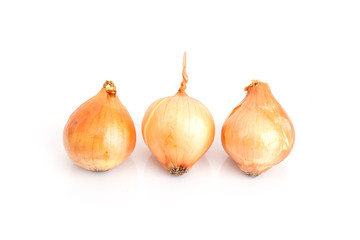 onion. isolate on white background