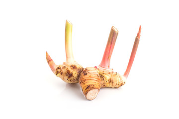 galangal. isolate on white background