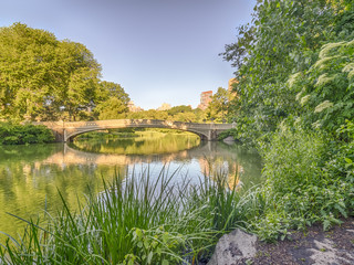 Fototapeta na wymiar Gapstow bridge Central Park, New York City