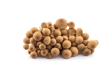 Shimeji mushrooms, water-based paints, isolated on white backgro