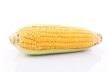 corn cob isolated on white background with. with green leaves