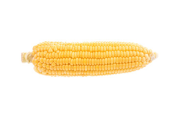 corn cob isolated on white background with.