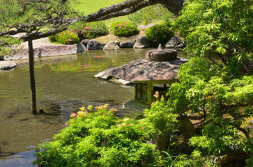 Japanese garden and pond, Kyoto Japan spring.