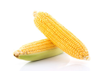 corn cob isolated on white background with. with green leaves