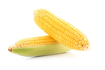 corn cob isolated on white background with. with green leaves