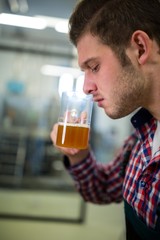 Fototapeta premium Brewer smelling beer