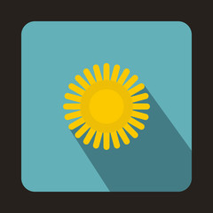 Sun icon in flat style on a light blue background