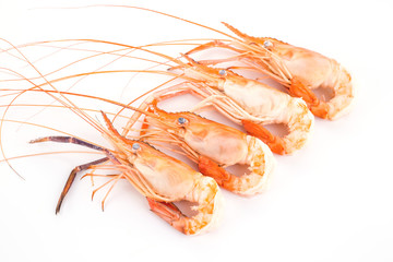 shrimp boil orange isolated on white background.