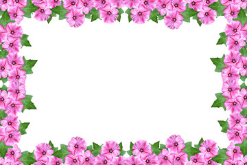 Obraz na płótnie Canvas petunia flowers isolated on white background. bright flower