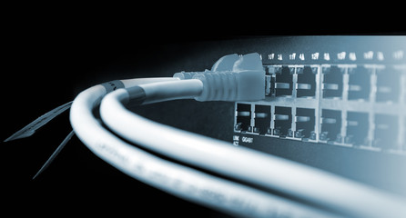 Close up UTP Cat5e Cable on network switch