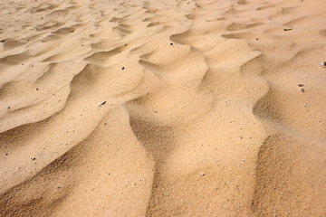 Sandy background at dunes