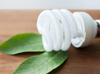 close up of energy saving lightbulb and green leaf