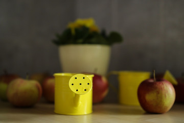 Still life with a watering can, apples and flower