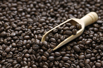 roasted peaberry coffee beans