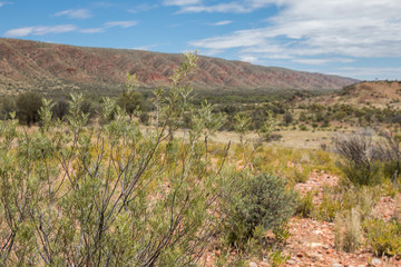 Outback landscape, East Macdonnell Ranges, Northern Territory, Australia