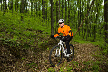 Fototapeta premium Cyclist Riding the Bike on a Trail in Summer Forest