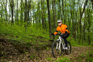 Obraz premium Cyclist Riding the Bike on a Trail in Summer Forest