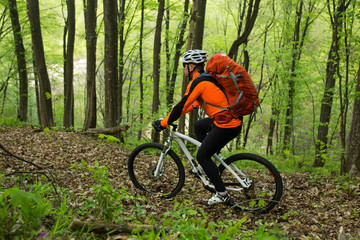 Biker on the forest road