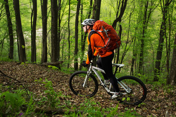 Biker on the forest road