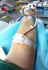 blood donation in the hospital bed