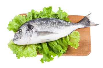 Fresh raw fish isolated on white