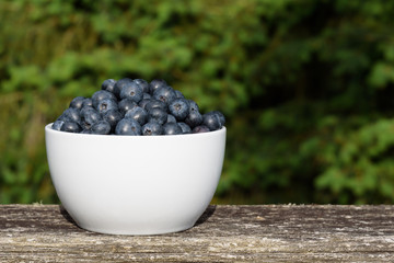 Fresh blueberries in a white bowl, on a deck railing with greenery in the background
