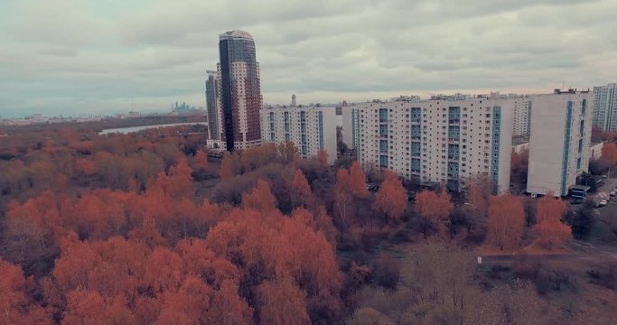 Aerial shot of golden trees on river bank during autumn season. A path or trail going along the river bank. Moscow suburbs, Strogino district, Russia.